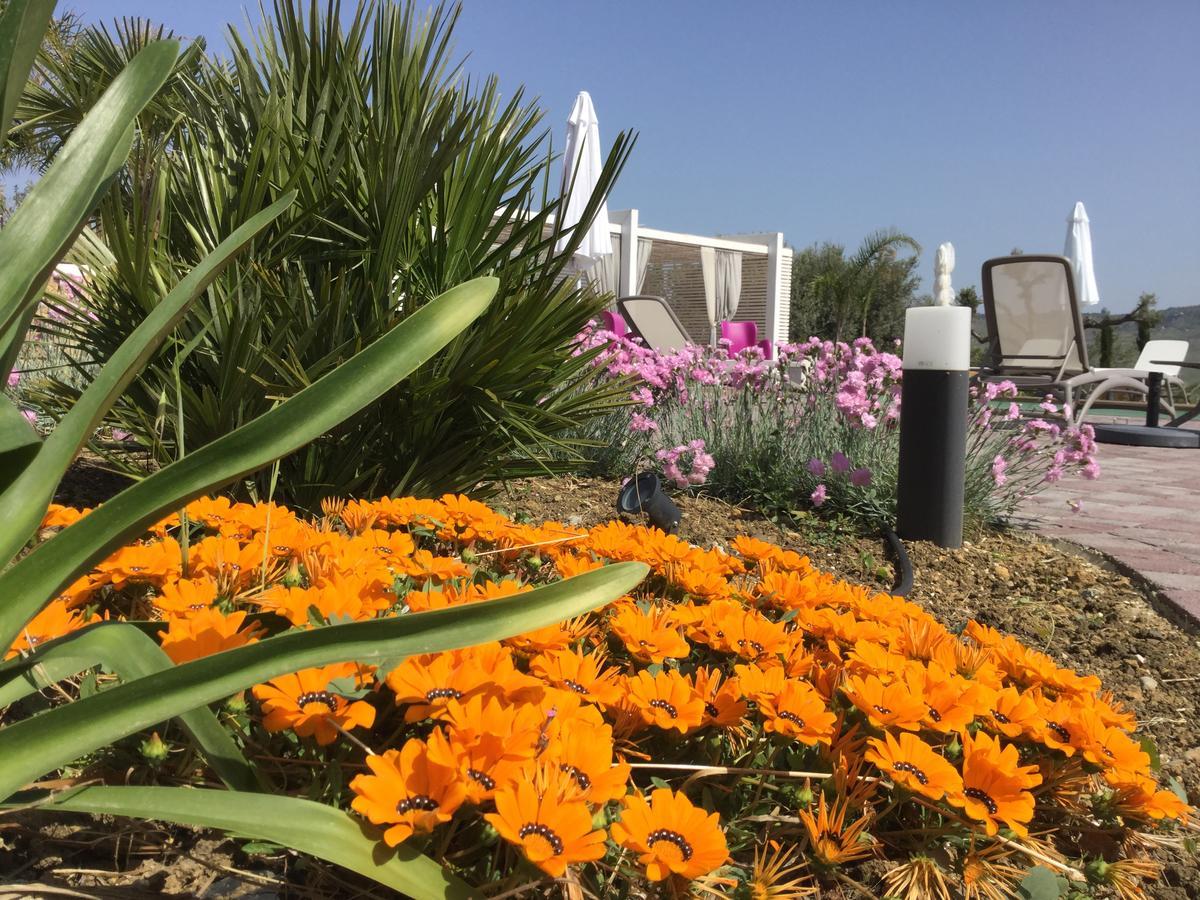 Il Colle Del Rustico Bed & Breakfast Agrigento Exterior photo